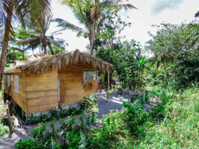 Mango House Kite Apartments - Kite Beach, Cabarete